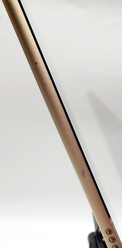 iPad Pro de 12,9 pulgadas de segunda generación – Oro, 256 GB, Wi-Fi